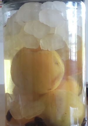 あんずと干しぶどうのサワードリンク-レシピのメイン写真