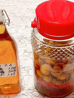 完熟梅のブランデーベースリキュール酒!-レシピのメイン写真