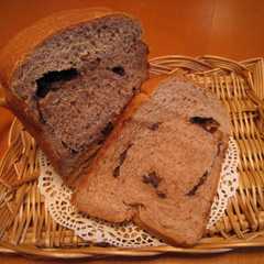 ホームベーカリーで作る　チョコパン-レシピのメイン写真