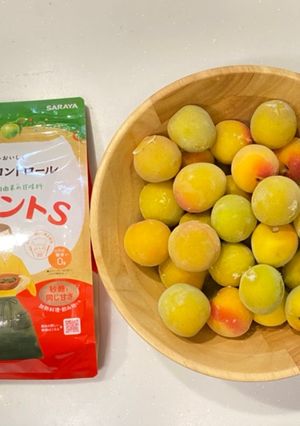 カロリー糖質OFF!1日で完成梅シロップ-レシピのメイン写真