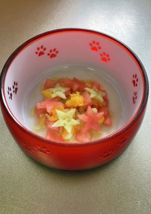 犬おやつ　夏バテ防止フルーツポンチ！-レシピのメイン写真