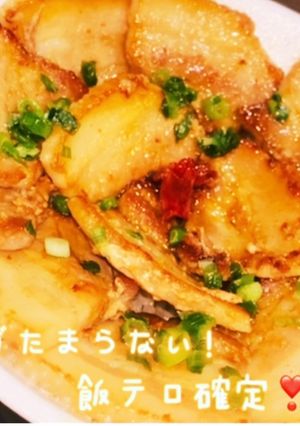 飯テロ!黄金比特製ダレで超簡単!美人豚丼-レシピのメイン写真