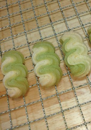 大麦若葉青汁☆絞り出しクッキー-レシピのメイン写真