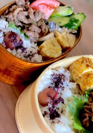お弁当　6月27日-レシピのメイン写真