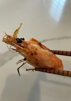 有頭海老を食べ切る！殻と頭のパリパリ焼き-レシピのメイン写真