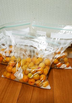 ジップロックで、氷砂糖入り減塩梅干し-レシピのメイン写真