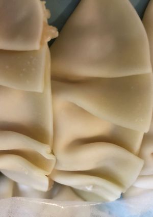 ヘルシー餃子-レシピのメイン写真