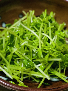 簡単☆豆苗のサラダ-レシピのメイン写真