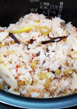 炊飯器に入れるだけ♪山菜ご飯-レシピのメイン写真