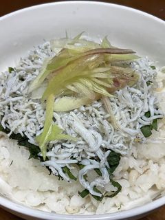 暑い日にサッパリ!茗荷と大葉のシラス丼♬-レシピのメイン写真