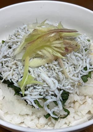暑い日にサッパリ！茗荷と大葉のシラス丼♬-レシピのメイン写真