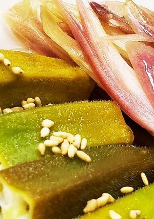 お年寄り絶賛シリーズ☆オクラ・茗荷漬け☆-レシピのメイン写真