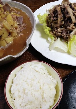 ぱぽの晩御飯Ver.20220629-レシピのメイン写真