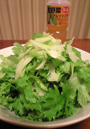 冬の定番！わさび菜とセロリのサラダ-レシピのメイン写真