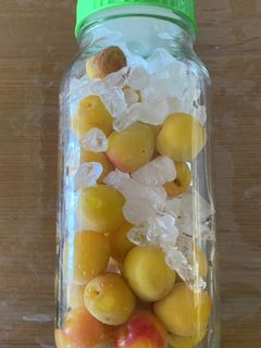 梅シロップ-レシピのメイン写真