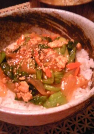 チンゲン菜と鶏ひき肉のピリ辛丼☆-レシピのメイン写真