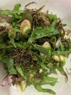 茗荷と紫蘇の昆布あえ-レシピのメイン写真