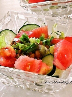 納豆サラダ-レシピのメイン写真