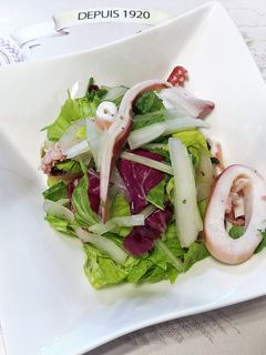 イカとセロリのサラダ-レシピのメイン写真