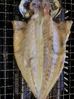 手作り鯵の一夜干し-レシピのメイン写真