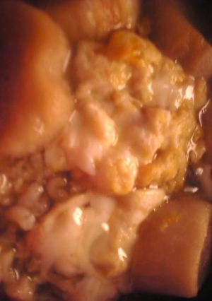 麩の卵玄米丼-レシピのメイン写真