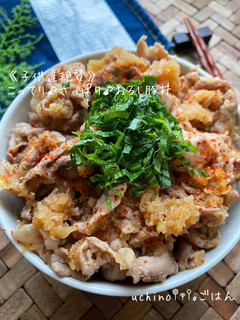 こってり♪さっぱり♪おろし豚丼-レシピのメイン写真