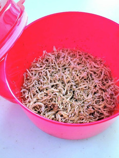 【レンジで3分】青のりとしらすのふりかけ-レシピのメイン写真