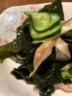 ガリ入り☆きゅうりとわかめの酢の物-レシピのメイン写真