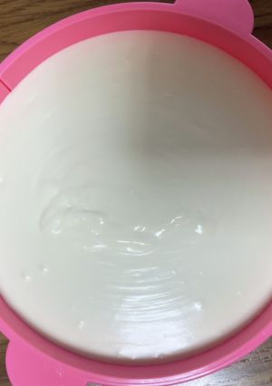 レアチーズケーキ-レシピのメイン写真