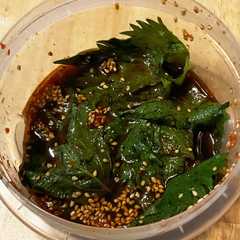 รูปของ 大葉の胡麻醤油漬け