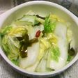 白菜とねぎの一夜漬け