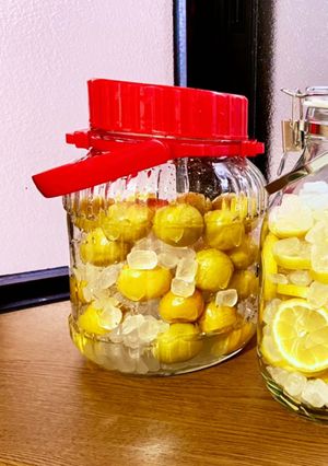 梅シロップ〜〜♪爽やかレモンシロップも♪-レシピのメイン写真