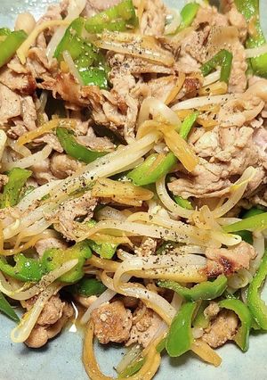 豚肉ともやしのポン酢生姜炒め-レシピのメイン写真