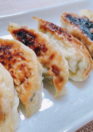 夏にさっぱりシソ餃子-レシピのメイン写真