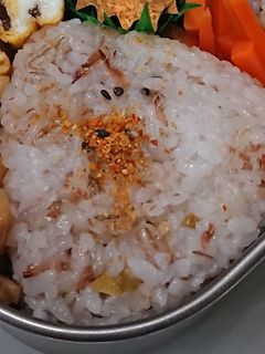 おかか入り酢飯おにぎり-レシピのメイン写真