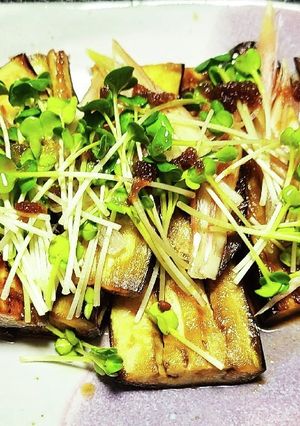 なすの生姜ステーキ-レシピのメイン写真