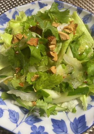 胡瓜と　セロリと　パクチーサラダ-レシピのメイン写真