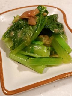 切って和えるだけ 小松菜の梅和え-レシピのメイン写真