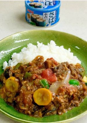 ★サバ缶で夏野菜カレー-レシピのメイン写真