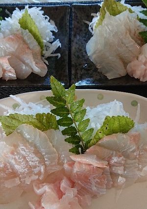 ヒラメのお刺身-レシピのメイン写真