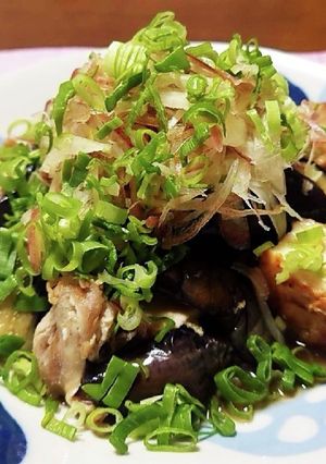 茄子の煮浸しサラダ-レシピのメイン写真
