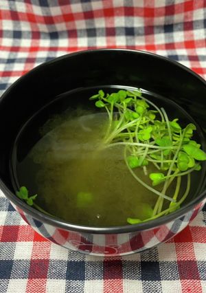 お椀で1分お吸い物-レシピのメイン写真