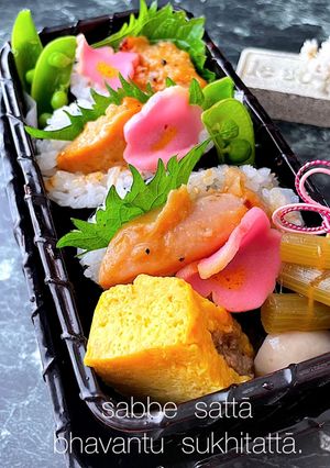 令和四年7月6日 おにぎらず弁当-レシピのメイン写真