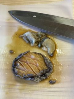 アワビの下処理-レシピのメイン写真
