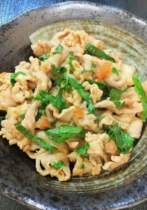豚こま切れ肉の大葉梅肉めんつゆ炒め-レシピのメイン写真