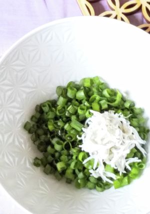 切って和えるだけ♪小ねぎの醤油和え-レシピのメイン写真