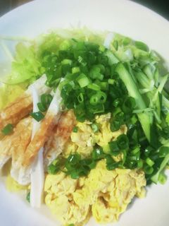 手抜き☆冷やし中華-レシピのメイン写真