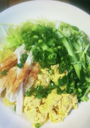 手抜き☆冷やし中華-レシピのメイン写真