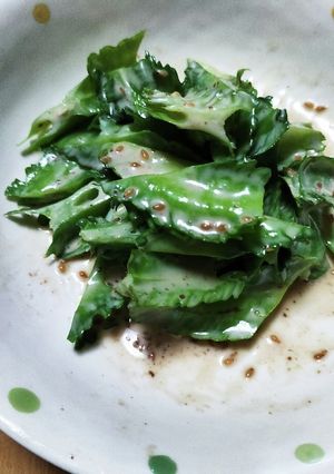 うりずん(四角豆)の胡麻ダレ和え-レシピのメイン写真