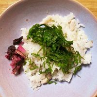 基本からアレンジまで！思わずつくりたくなる「焼きサバ 酢」のレシピ
